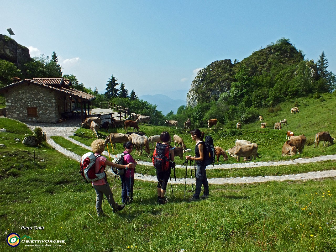 20 Alla Malga Pozzetto (1399 m).JPG